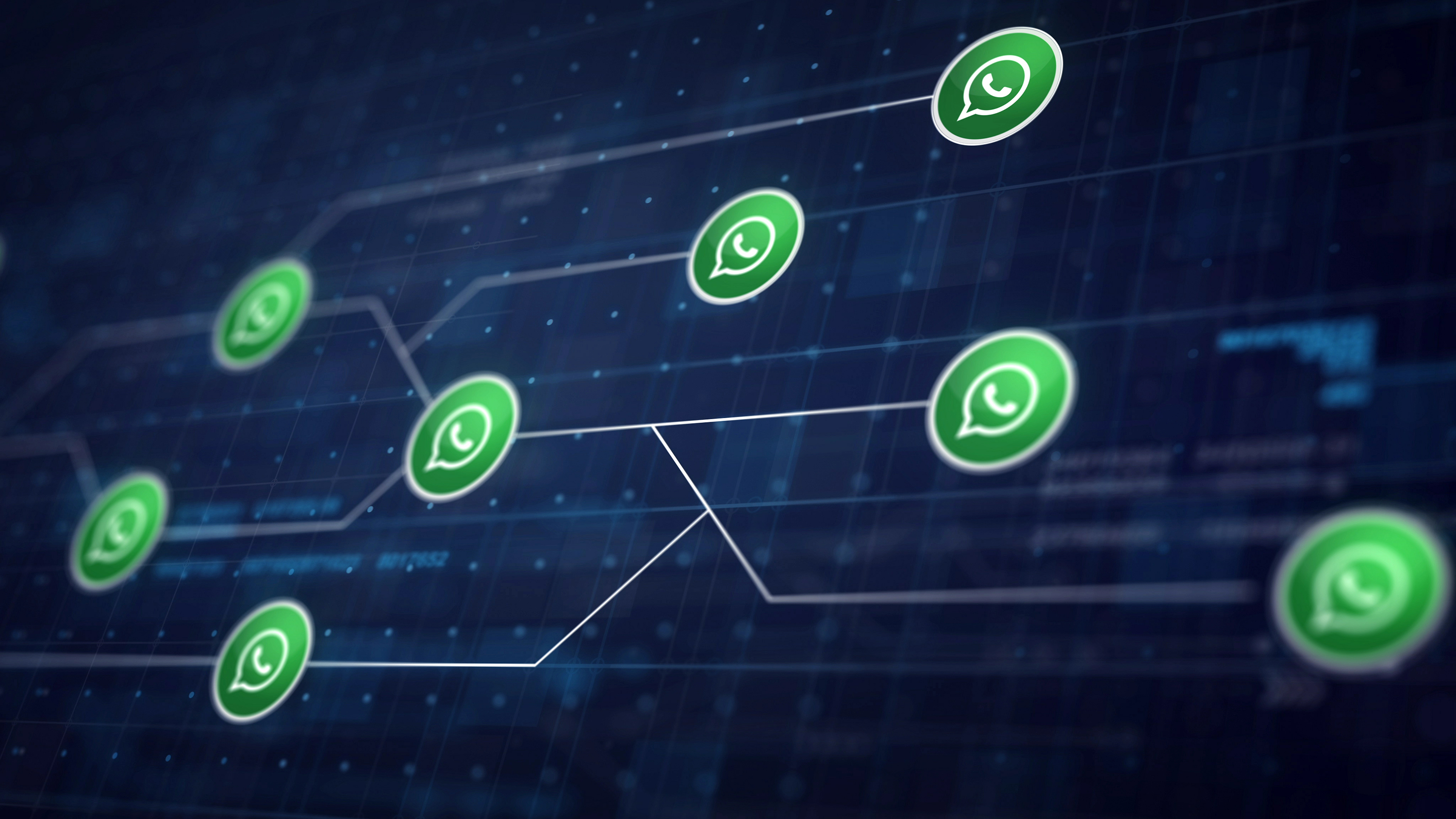 Cách thu hút và phân loại khách hàng tiềm năng qua WhatsApp: hướng dẫn thực hành